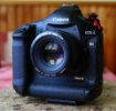 Prodáno  Prodám Canon EOS 1DS Mark III  výborný stav, amatérsky používaný Prodáno