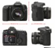 Canon EOS 50D + Canon 55-200 USM ultrasonic