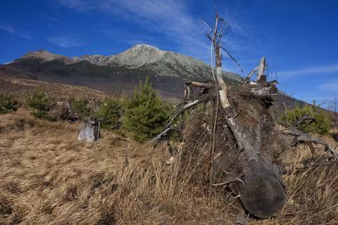 Tatry