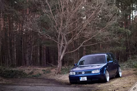 VW Golf