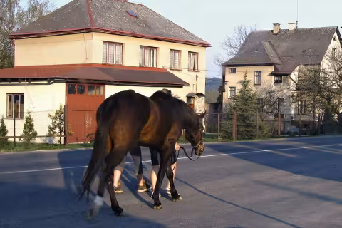 1 horse power