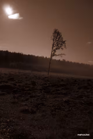 Osamělý