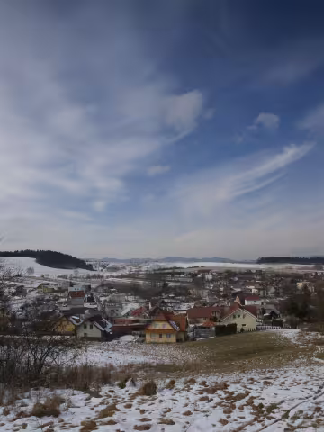 Trnové