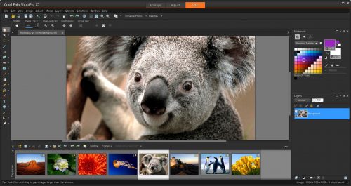 Recenze a srovnání Corel PaintShop Pro X7 a Adobe Photoshop